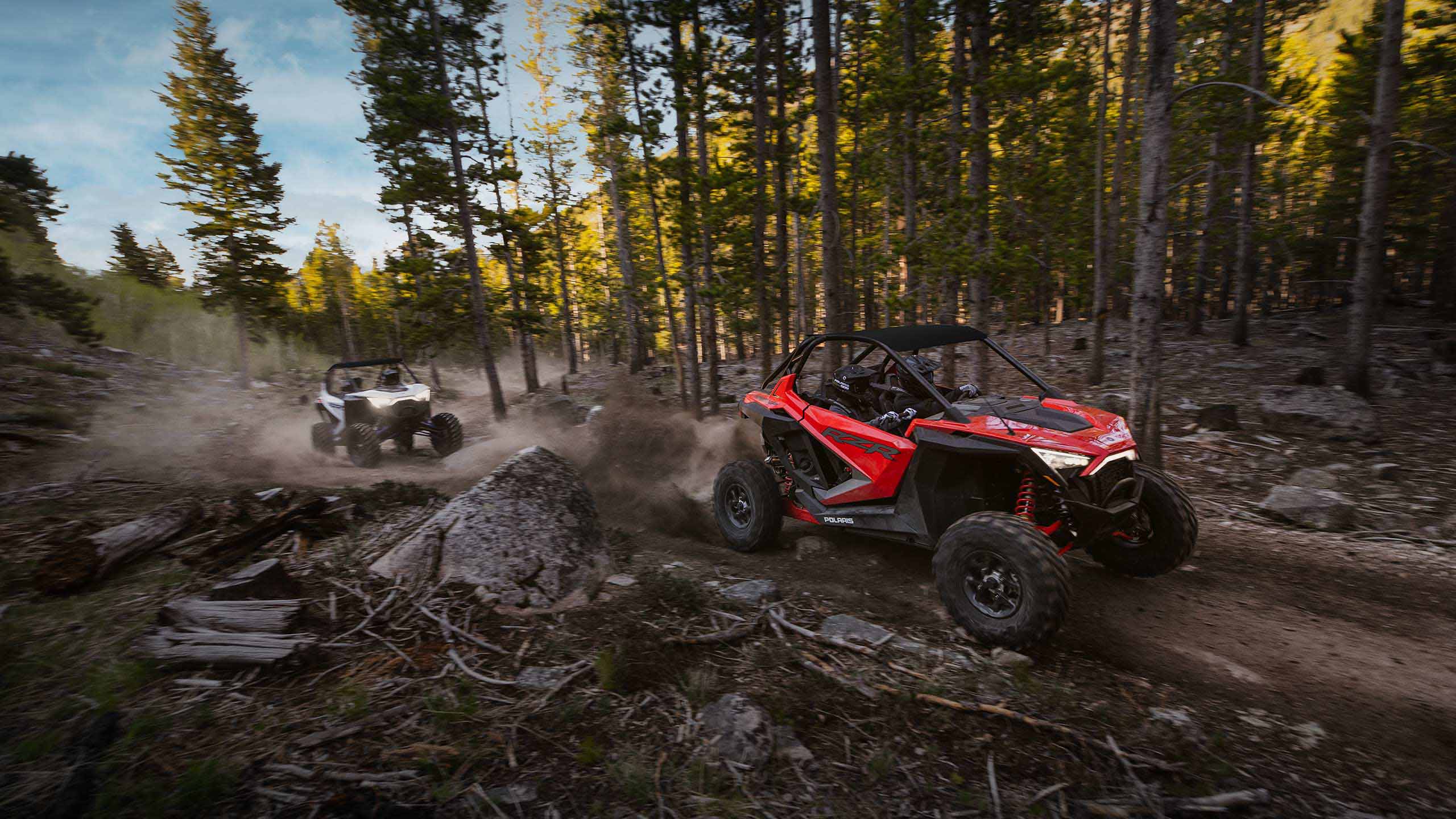 RZR PRO XP